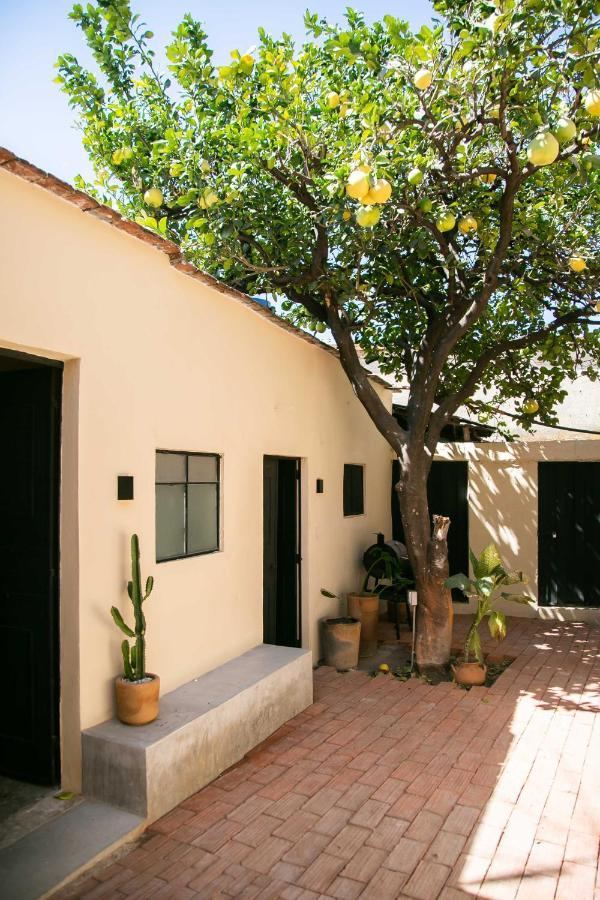 509 Accommodation Oaxaca 外观 照片