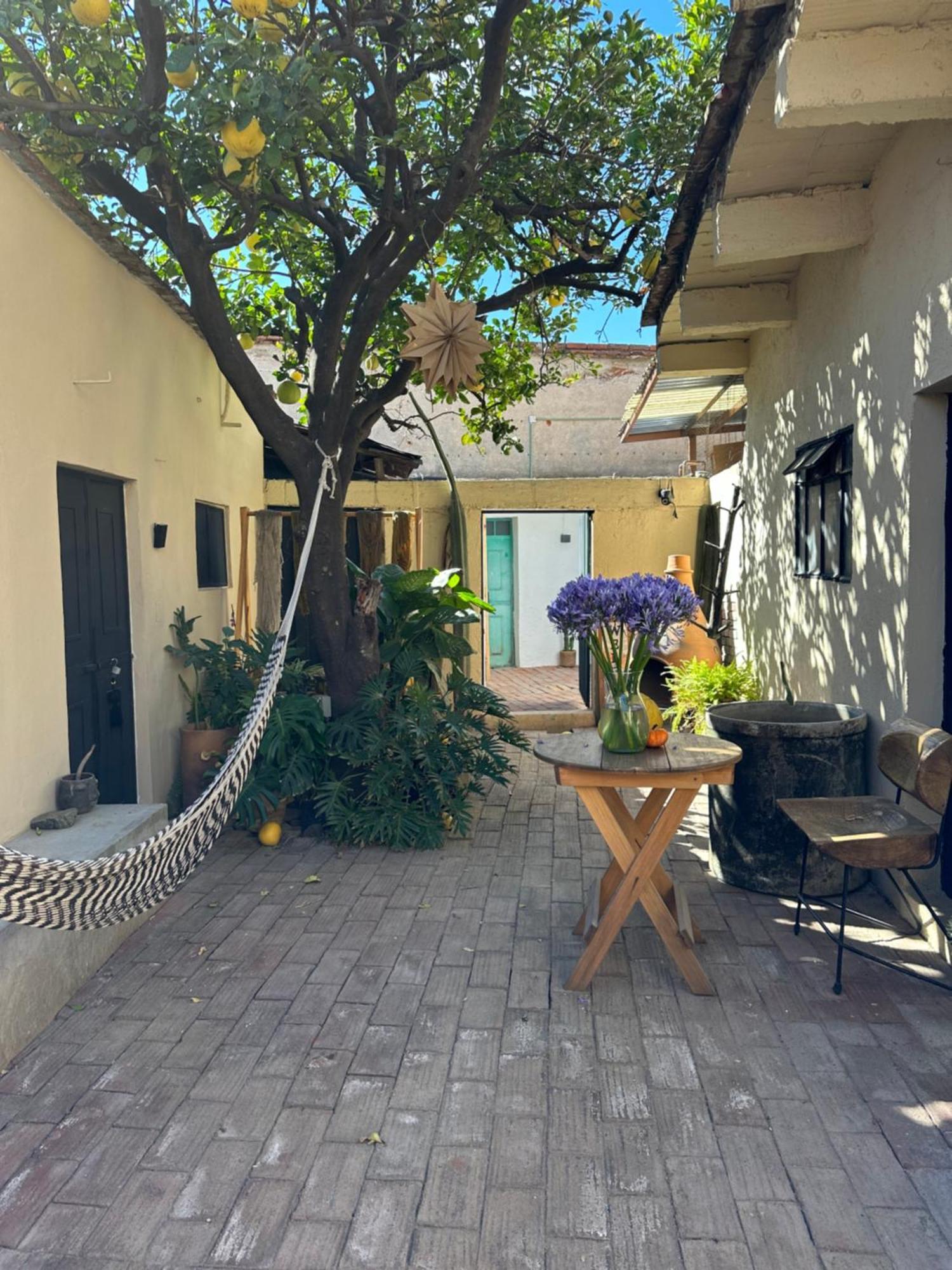 509 Accommodation Oaxaca 外观 照片