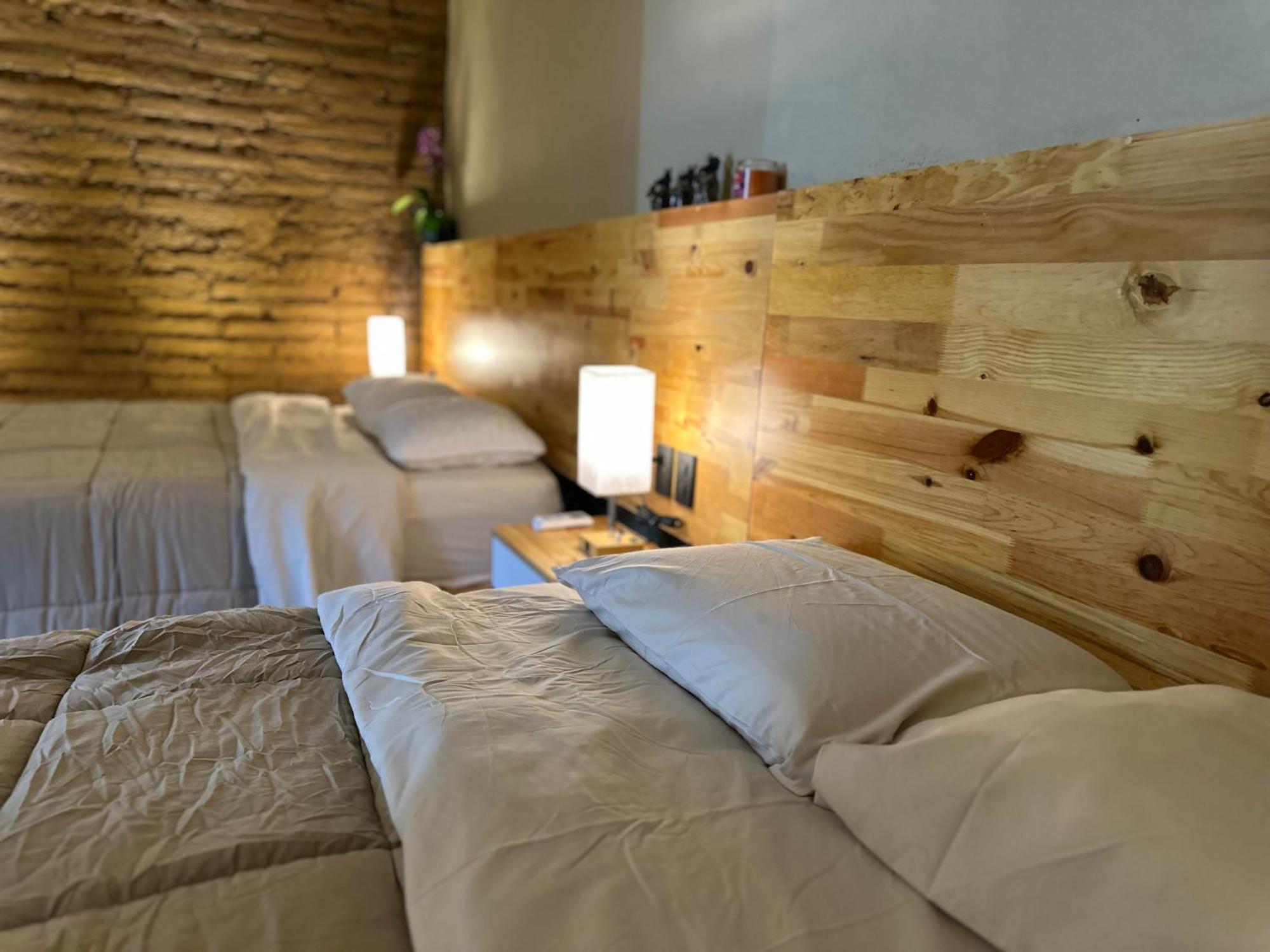 509 Accommodation Oaxaca 外观 照片